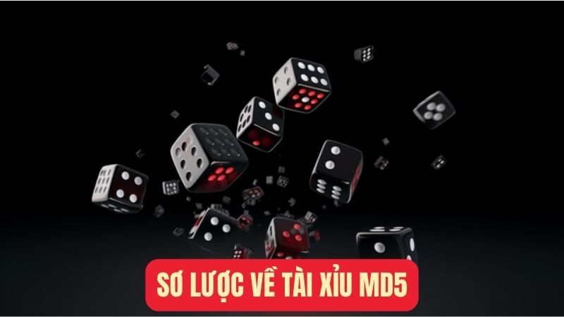 Sơ lược về tài xỉu md5