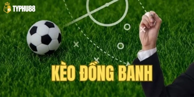Khi tham gia kèo đồng banh bạn cần áp dụng đa dạng cách cược.